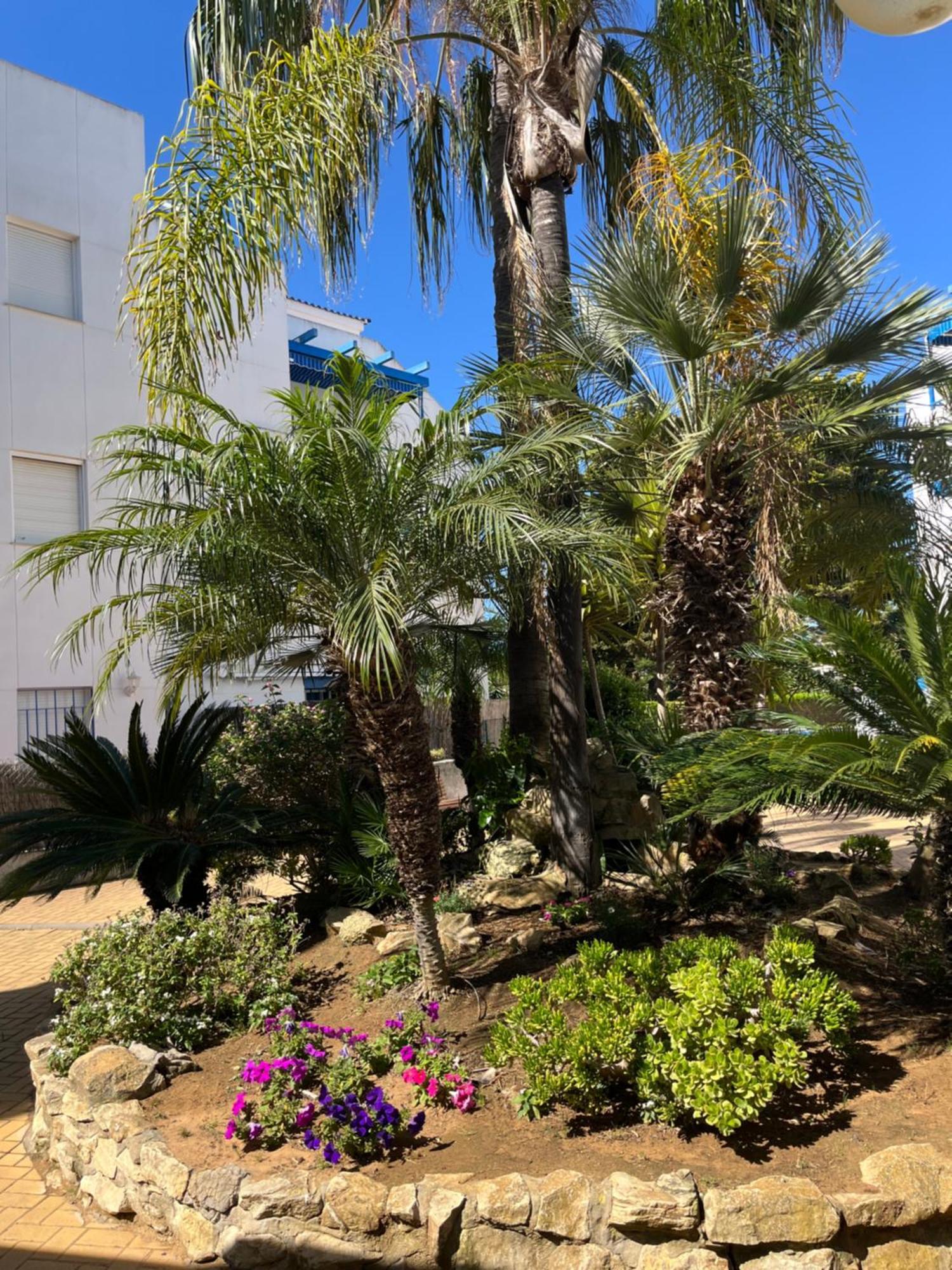 Apartamento En Costa Ballena, Urb. Playa Ballena Cádiz Buitenkant foto
